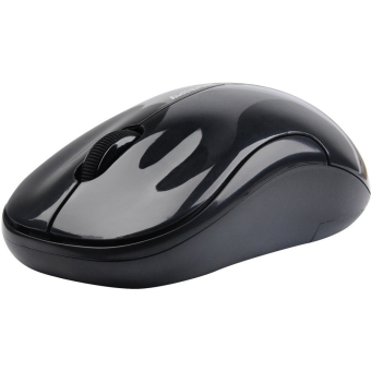 Мышь беспроводная A4 G3 300N optical black USB 