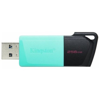 Флешка USB 256Gb Kingston DTXM black/green USB3.2 